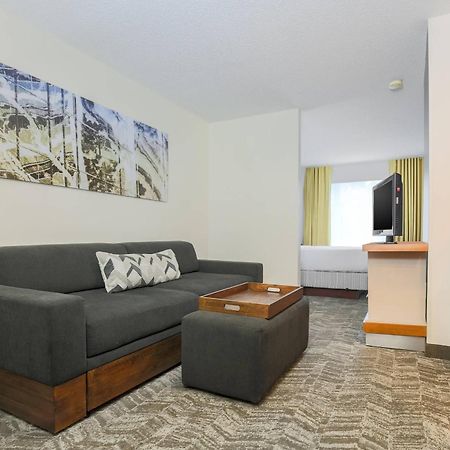 Springhill Suites By Marriott Houston Brookhollow Luaran gambar
